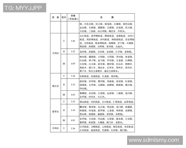 重庆足球队逆袭之路揭秘洲际杯特别报道展现奋斗精神与团队力量