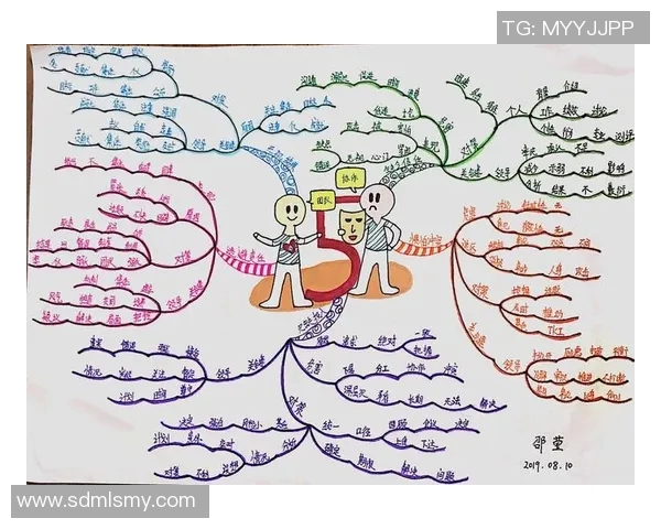 南京羽毛球队在邀请赛中的团队协作表现分析与点评
