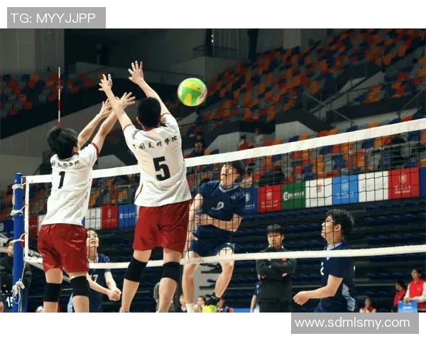 深入分析杭州排球队反击战术的独特魅力与实战应用