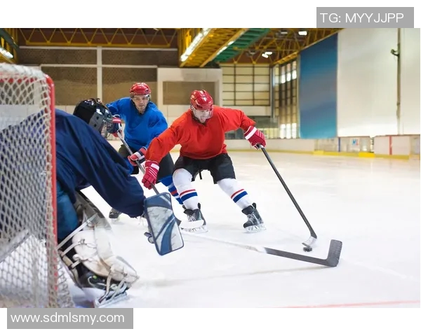足球明星与冰球运动员的职业生涯差异及影响因素探讨