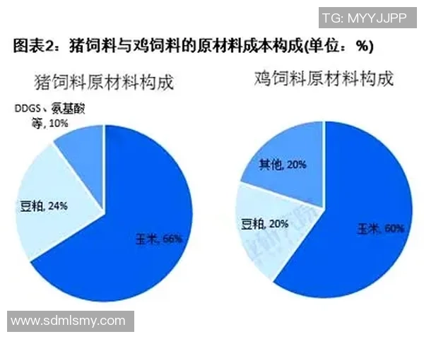 足球明星卡价值评估与市场趋势分析方法探讨 足球明星卡价值评估与市场趋势分析方法探讨