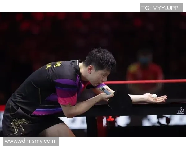 南京网球队以89分领跑大满贯积分榜展现强劲实力与竞争优势