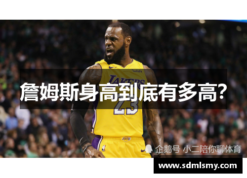詹姆斯身高到底有多高？