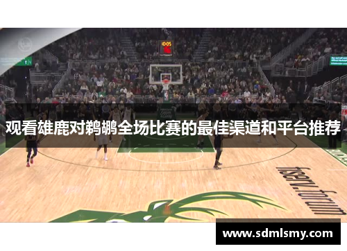 观看雄鹿对鹈鹕全场比赛的最佳渠道和平台推荐