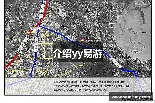 介绍yy易游